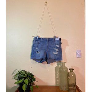 Hollister Distressed NWT Jean High Rise Shorts Size 13 W 31 New With Tags